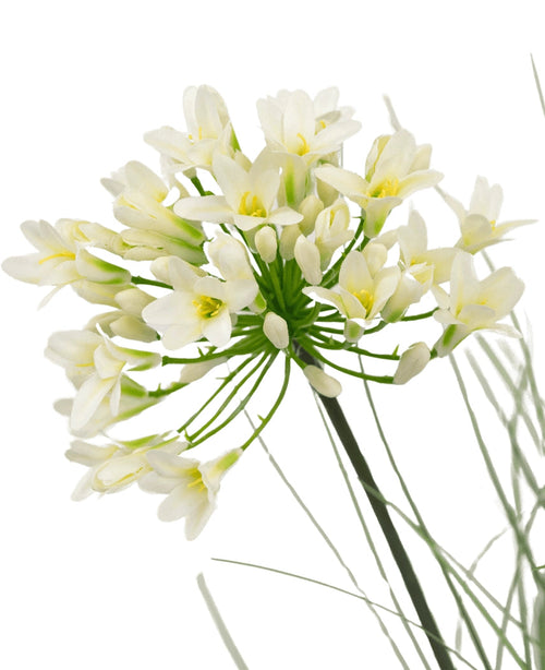 Eine Nahaufnahme des 90 cm großen feuerhemmenden Kunstrasen-Topfes mit weißem Agapanthus-Zwiebelgras zeigt zarte weiße Blüten mit gelber Mitte auf langen grünen Stielen, umgeben von zarten Blättern, vor einem schlichten weißen Hintergrund.