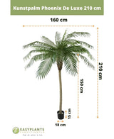 Kunstpalme Phoenix De Luxe 210 cm: Kunstpalme, maximale Breite 160 cm, Stammhöhe 150 cm, Topfgröße H15xØ18 cm. Branding und niederländischer Text sind sichtbar.