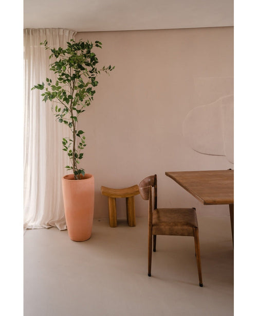 Die Kunstpflanze Ficus 210 cm steht hoch neben transparenten Vorhängen in einem minimalistischen, neutralen Raum mit einem rustikalen Holzstuhl, einem auffälligen kleinen Holzhocker und einem Holztisch.