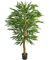 Die Kunstpflanze Longfolia 150 cm ist ein hoher künstlicher Bambus mit mehreren braunen Stielen und langen, schmalen grünen Blättern, der in einem kleinen schwarzen Topf vor einem schlichten weißen Hintergrund präsentiert wird.