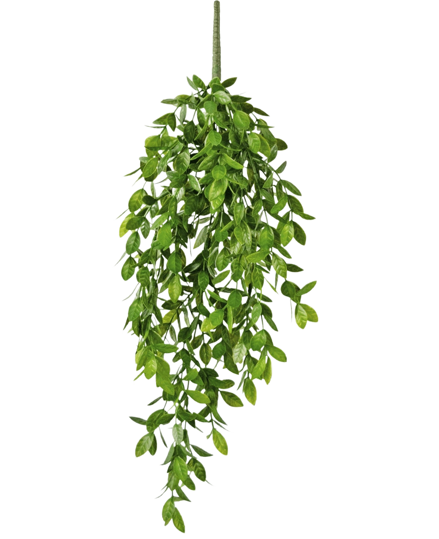 Die künstliche Hängepflanze Gardenia 61 cm ist eine künstliche Hängepflanze mit üppigen, grünen Blättern und einem einzelnen sichtbaren Stiel vor einem schlichten weißen Hintergrund.