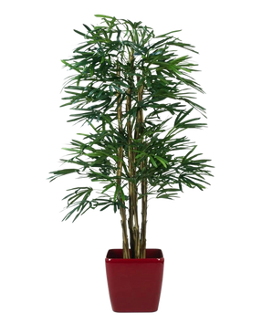 Lady Artificial Palm 210 cm, eine künstliche Palme mit schlanken grünen Blättern und mehreren dünnen Stielen, steht in einem glänzend roten quadratischen Pflanzgefäß vor einem schlichten weißen Hintergrund.