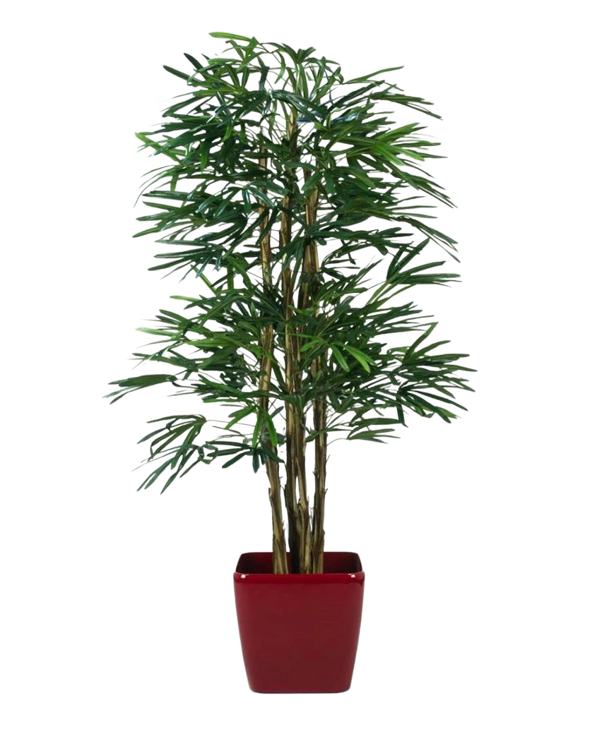 Lady Artificial Palm 210 cm, eine künstliche Palme mit schlanken grünen Blättern und mehreren dünnen Stielen, steht in einem glänzend roten quadratischen Pflanzgefäß vor einem schlichten weißen Hintergrund.
