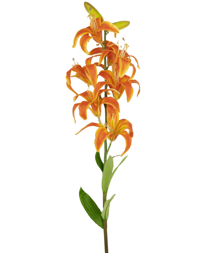 Die künstliche Blumen-Martagon-Lilie 78 cm orange hat einen einzelnen Stiel mit mehreren leuchtend orangefarbenen Lilienblüten und grünen Blättern vor einem schlichten weißen Hintergrund.