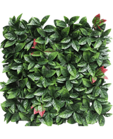 Die künstliche Hecke Photonia rot 50x50 cm UV ist ein quadratisches künstliches Heckenpaneel mit dichten grünen Blättern mit vereinzelten rot getönten Büscheln, die alle auf einem weißen Hintergrund präsentiert werden.