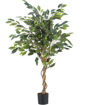 Die Kunstpflanze Ficus Green 120 cm hat grüne Blätter und einen gedrehten Stamm, in einem kleinen schwarzen Topf vor einem schlichten weißen Hintergrund.