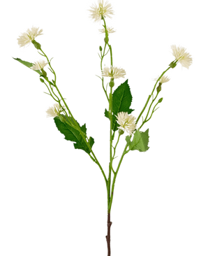 Das künstliche Blumen-Gänseblümchen-Spray, 54 cm, weißer Strahl, hat einen einzelnen grünen Stiel mit verzweigten Büscheln aus kleinen, weißen, gänseblümchenähnlichen Blüten und unregelmäßigen grünen Blättern vor einem schlichten weißen Hintergrund.