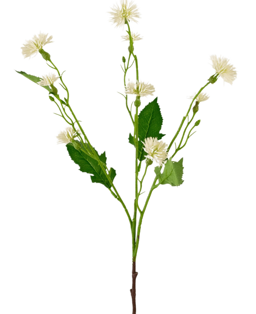 Das künstliche Blumen-Gänseblümchen-Spray, 54 cm, weißer Strahl, hat einen einzelnen grünen Stiel mit verzweigten Büscheln aus kleinen, weißen, gänseblümchenähnlichen Blüten und unregelmäßigen grünen Blättern vor einem schlichten weißen Hintergrund.