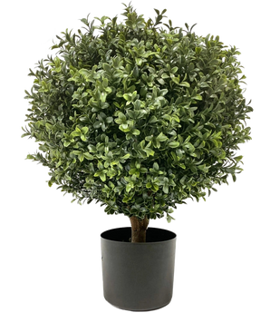 Der künstliche Buxus auf Stiel UV 40 cm ist eine runde, buschige grüne Form mit dichten Blättern in einem einfachen schwarzen Topf vor einem schlichten weißen Hintergrund.