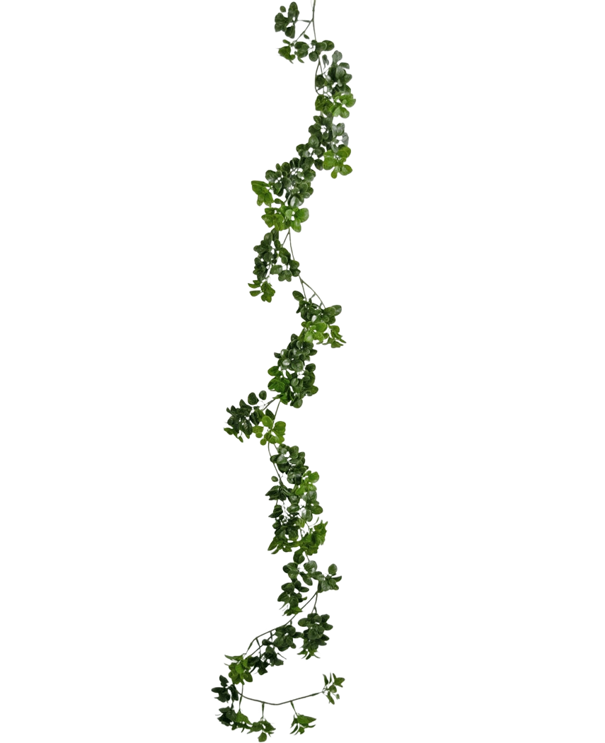 Die künstliche Schlingpflanze Gardenia 157 cm hat eine einzelne, lange grüne Ranke mit kleinen Blättern, die vertikal vor einem schlichten weißen Hintergrund hängt.