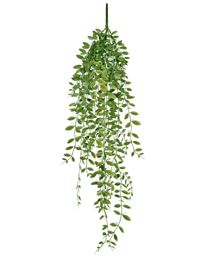 Die künstliche Hängepflanze Sukkulente 76 cm hat grüne Blätter und dünne Stängel vor einem schlichten weißen Hintergrund.
