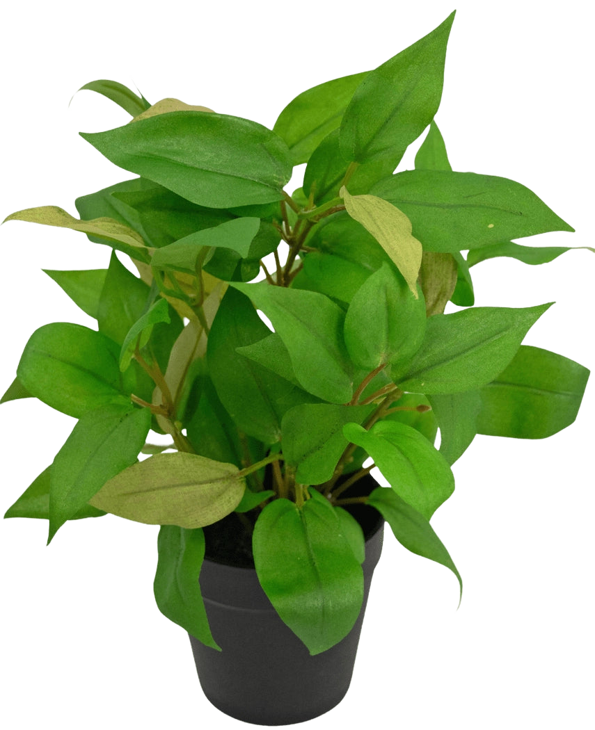 Die Kunstpflanze „Hauswanderer“ im 25-cm-Topf hat leuchtend grüne Blätter in einem schlichten schwarzen Topf vor einem schlichten weißen Hintergrund.