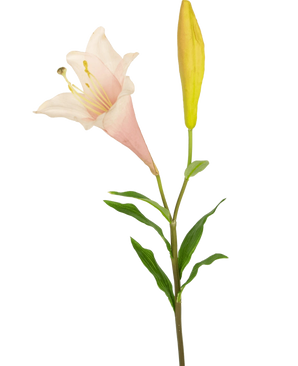 Die Kunstblume Exotische Lilie 74 cm rosa hat einen einzelnen Stiel mit einer blühenden hellrosa Lilie und einer geschlossenen gelben Knospe, umgeben von schlanken grünen Blättern, vor einem weißen Hintergrund.