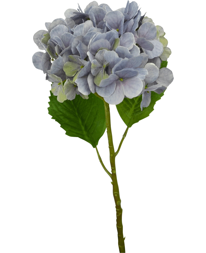 Eine einzelne künstliche Hydrangea Deluxe 57 cm lila Stiel mit hellvioletten Blütenblättern und zwei großen grünen Blättern, isoliert auf weißem Hintergrund.