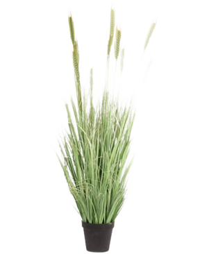 Die feuerhemmende Kunstrasenpflanze Grün 160 cm hat lange, schlanke Halme und Samenköpfe in einem kleinen schwarzen Topf. Ideal als stilvolle, feuerhemmende Kunstpflanze für jeden Raum.
