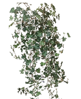 Der künstliche Efeu Deluxe Rich Green-White 90 cm hat üppige grüne und weiß gelappte Blätter an nachlaufenden Stielen, die sich wunderschön von einem schlichten weißen Hintergrund abheben.