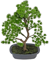 Die Kunstpflanze Bonsai Wacholder 30 cm hat dichte hellgrüne Blätter und einen gedrehten Stamm, in einem flachen grauen Topf mit dunkler Erde, vor einem schlichten weißen Hintergrund.