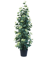Die Kunstpflanze Eukalyptus 76 cm ist eine hohe, üppige künstliche Eukalyptuspflanze mit runden grünen Blättern in einem schwarzen Topf vor einem schlichten weißen Hintergrund.