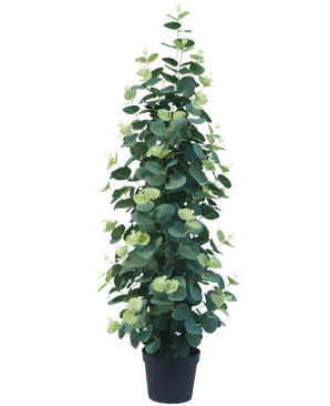 Die Kunstpflanze Eukalyptus 76 cm ist eine hohe, üppige künstliche Eukalyptuspflanze mit runden grünen Blättern in einem schwarzen Topf vor einem schlichten weißen Hintergrund.