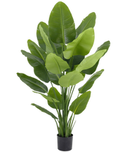 Strelitzie Kunstpflanze