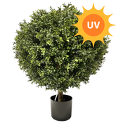 Künstliche Pflanze Buxus UV