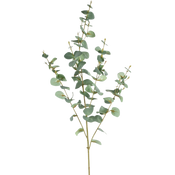 Eukalyptus Künstlich