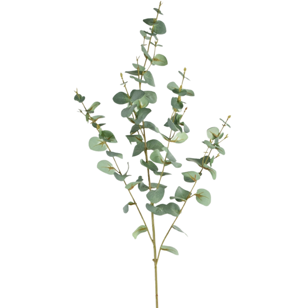 Eukalyptus Künstlich
