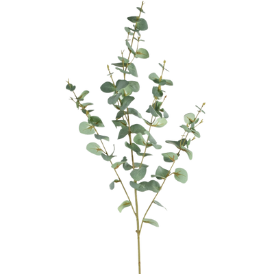 Eukalyptus Künstlich