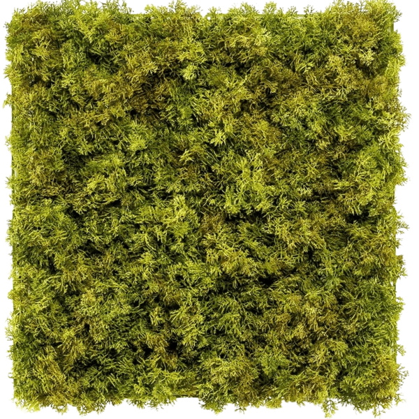 Künstliche Hecke Moos