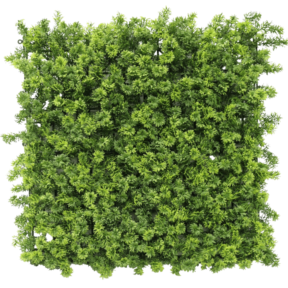 Künstliche Hecke 50x50