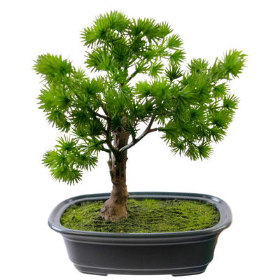 Künstlicher Bonsai
