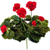 Künstliche Geranien