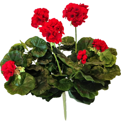 Künstliche Geranien