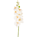 Künstliche Orchidee