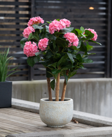 De Kunstplant Hortensia UV 85 cm roze, met meerdere stelen met trossen felroze hortensiabloemen en groene bladeren, staat buiten op een houten oppervlak bij een modern hek.