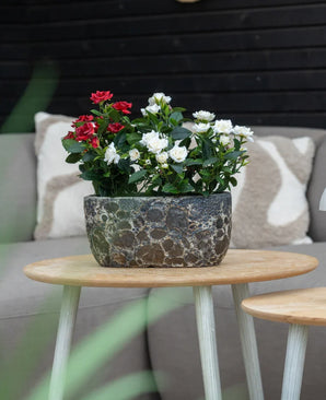 Eine künstliche Terrassenrose 35 cm creme UV steht auf einem runden Holztisch vor einem beigen Sofa mit gemusterten Kissen.