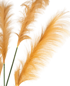 Drie goudoranje Kunst Pampasgras 150 cm brandvertragende stelen tonen vederlichte pluimen tegen een witte achtergrond. Zachte, delicate texturen worden prachtig versterkt door de verlichting.