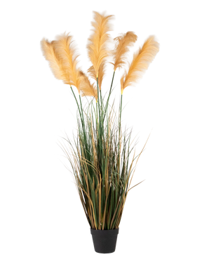 Een zwarte pot bevat Kunst Pampasgras 150 cm brandvertragend, met hoge groene kunstgras en geelbruine pluimen gerangschikt voor een natuurlijke decoratieve look.