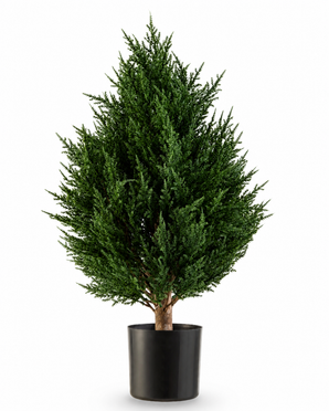 De Kunstplant Conifeer Deluxe UV 60 cm van Easyplants is een compacte, bossige kunstplant met groenblijvend blad en rijkgroen blad, gepresenteerd in een zwarte pot tegen een witte achtergrond. Dit maakt hem tot een uitstekende keuze onder de kunstplanten voor buiten en zorgt moeiteloos voor levendig groen in elke omgeving.