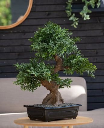 Een Kunst-bonsaiboompje van 70 cm in een pot met dichtgroen blad staat op een ronde houten tafel voor een grijze bank, met op de achtergrond een zwarte houten wand en een ronde spiegel.