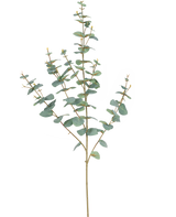 Der künstliche Eukalyptus 96 cm hat schlanke Stiele und runde, blaugrüne Blätter, die elegant vor einem schlichten weißen Hintergrund zur Geltung kommen.
