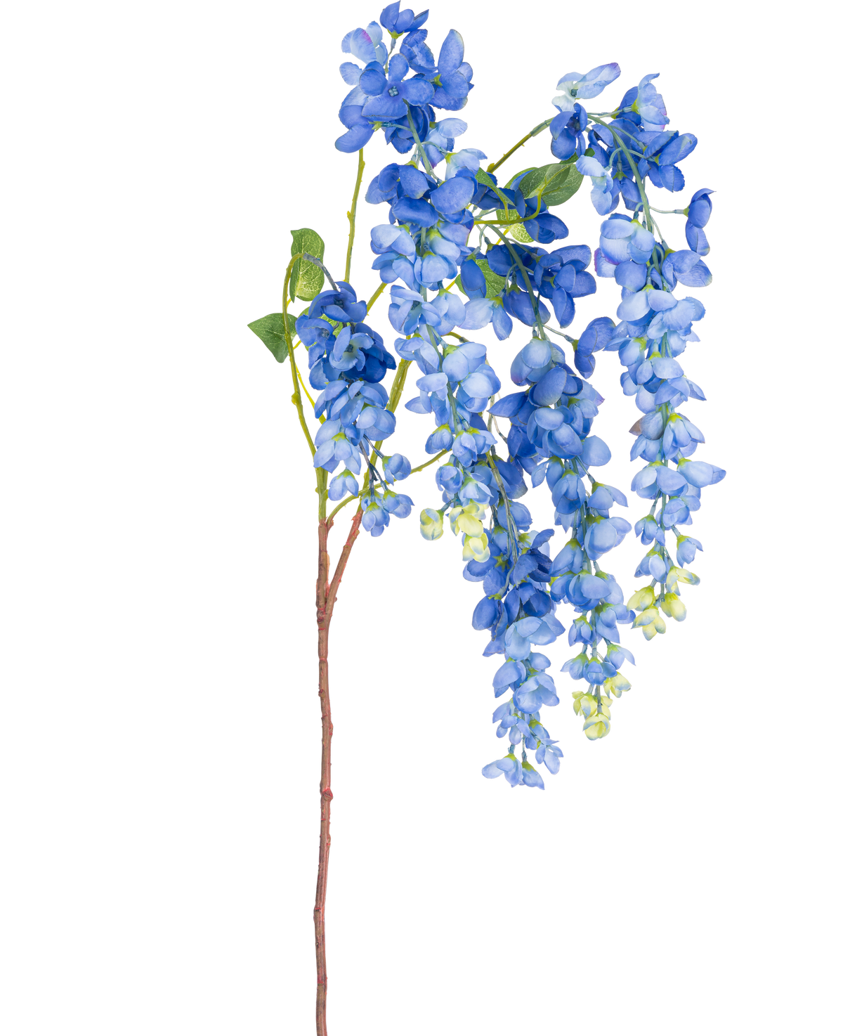 Ein einzelner 115 cm langer künstlicher Glyzinienstiel mit leuchtenden Glyzinienblüten und grünen Blättern auf einem langen, schlanken braunen Stiel, isoliert auf weißem Hintergrund.