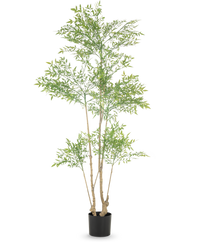 Künstliche Pflanze Ruscus 180 cm