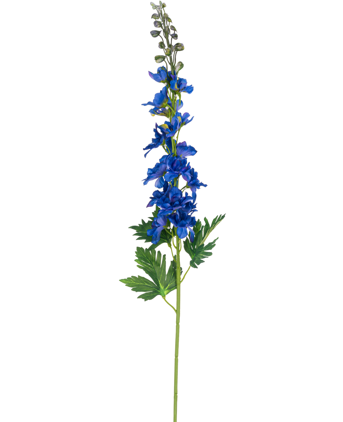 Eine künstliche Blume mit einem Stiel, Delphinium, 79 cm, blau mit blauen Blüten und grünen geteilten Blättern, vor einem schlichten weißen Hintergrund.