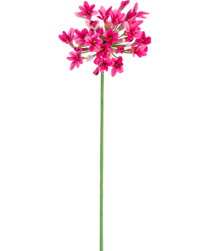 De Kunstbloem Agapanthus 77 cm roze heeft een enkele groene steel met meerdere trossen felroze bloemen, elk met meerdere bloemblaadjes, tegen een effen witte achtergrond.