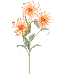 Künstliche Blume Scabiosa Japonica 70 cm Pfirsich