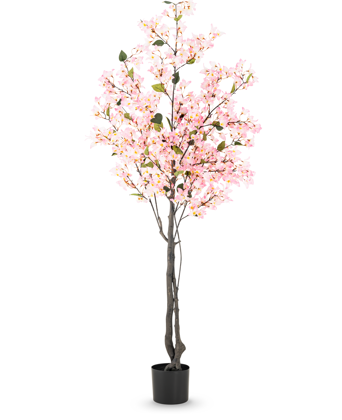 Kunstpflanze Bougainvillea 180 cm rosa mit mehreren Zweigen voller kleiner rosa Blüten und grünen Blättern in einem schlichten schwarzen Topf, vor weißem Hintergrund.