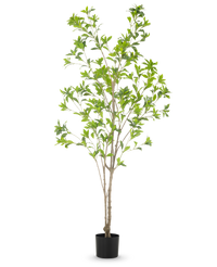 Künstliche Pflanze Pieris Japonica 180 cm