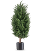 De Kunstplant Conifeer deluxe UV 90 cm is een weelderige, groene kunstgroenblijvende plant met dicht gebladerte in een zwarte pot - een onderhoudsvrije plant die in elke omgeving levendig blijft.