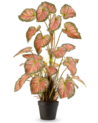 Kunstpflanze Caladium 90 cm rosa